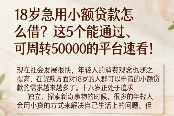 18岁急用小额贷款怎么借?这5个能通过、可周转50000的平台速看!