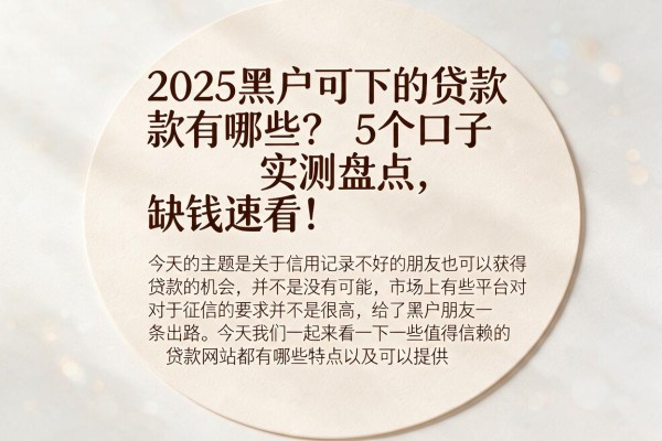 2025黑户可下的贷款有哪些?5个口子实测盘点,缺钱速看!