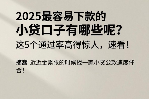 2025最容易下款的小贷口子有哪些呢？这5个通过率高得惊人，速看！