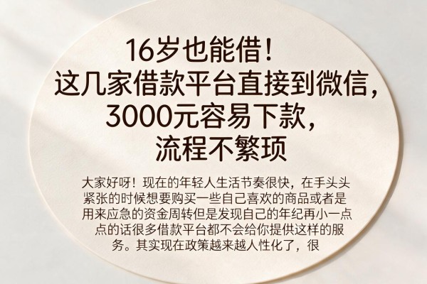 16岁也能借!这几家借款平台直接到微信,3000元容易下款、流程不繁琐
