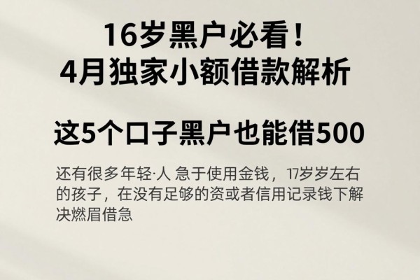 16岁黑户必看!4月独家小额借款解析,这5个口子黑户也能借500