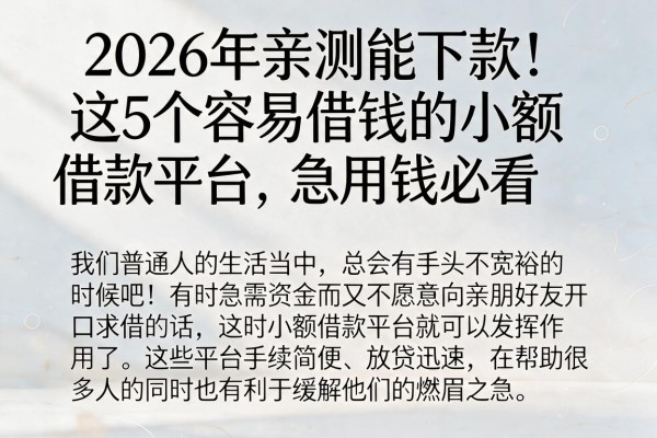 2026年亲测能下款!这5个容易借钱的小额借款平台,急用钱必看
