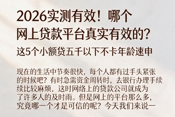 2026实测有效！哪个网上贷款平台真实有效的？这5个小额贷五千以下不卡年龄速申