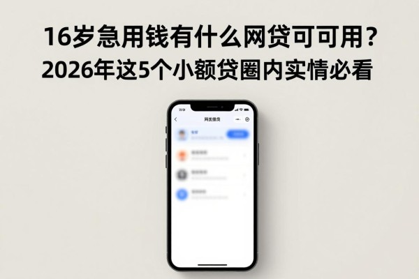 16岁急用钱有什么网贷可以用?2026年这5个小额贷圈内实情必看