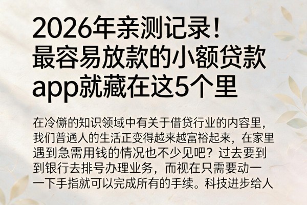 2026年亲测记录！最容易放款的小额贷款app就藏在这5个里
