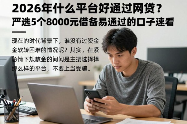 2026年什么平台好通过网贷?严选5个8000元借款易通过的口子速看