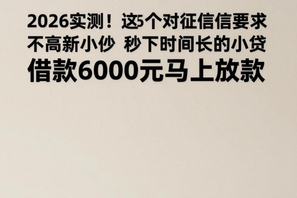 2026实测!这5个对征信要求不高的秒下时间长的小贷,借款6000元马上放款