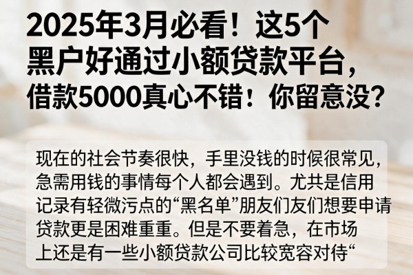 2025年3月必看!这5个黑户好通过小额贷款平台,借款5000真心不错,你留意没?