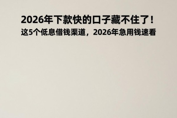 2026年下款快的口子藏不住了！这5个低息借钱渠道，2026年急用钱速看