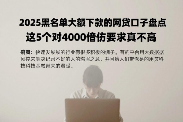 2025黑名单大额下款的网贷口子盘点，这5个对4000借款要求真不高
