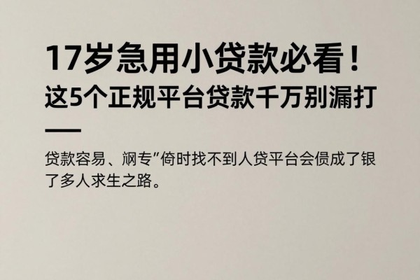 17岁急用小额贷款必看!这5个正规平台贷款容易借,千万别漏掉