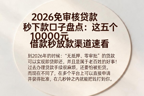 2026免审核贷款秒下款口子盘点:这五个10000元借款秒放款渠道速看