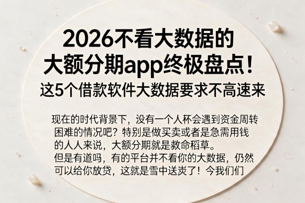2026不看大数据的大额分期app终极盘点!这5个借款软件大数据要求不高速来