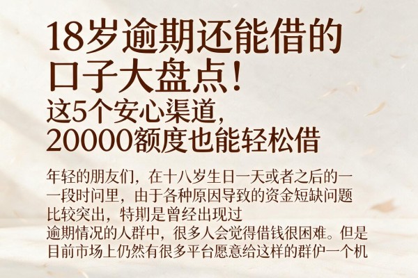 18岁逾期还能借的口子大盘点！这5个安心渠道，20000额度也能轻松借