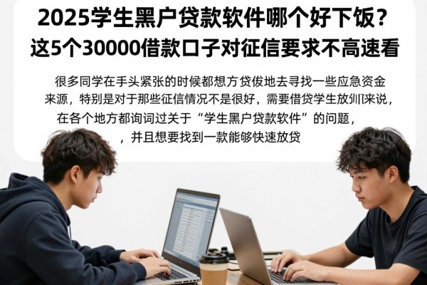 2025学生黑户贷款软件哪个好下款?这5个30000借款口子对征信要求不高速看