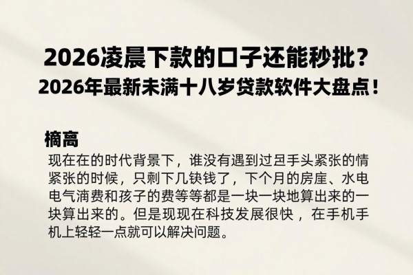 2026凌晨下款的口子还能秒批?2026年最新未满十八岁贷款软件大盘点!