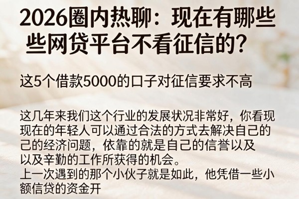 2026圈内热聊:现在有哪些网贷平台不看征信的?这5个借款5000的口子对征信要求不高