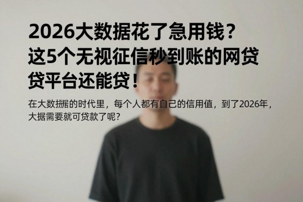 2026大数据花了急用钱?这5个无视征信秒到账的网贷平台还能贷!