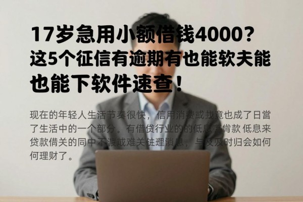 17岁急用小额借钱4000?这5个征信有逾期也能下的软件速查!