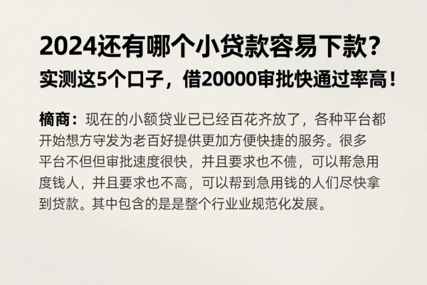 2024还有哪个小额贷款容易下款?实测这5个口子,借20000审批快通过率高!