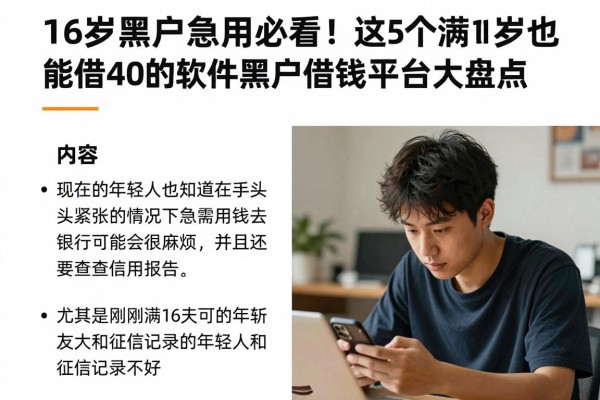 16岁黑户急用钱必看!这5个满16岁也能借4000的靠谱软件,黑户借钱平台大盘点