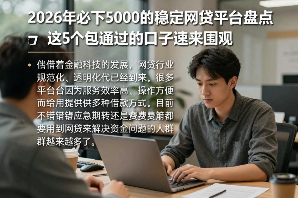 2026年必下5000的稳定网贷平台盘点，这5个包通过的口子速来围观