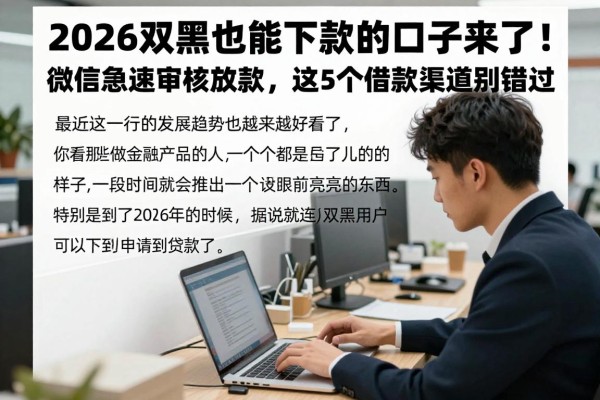 2026双黑也能下款的口子来了！微信急速审核放款，这5个借款渠道别错过