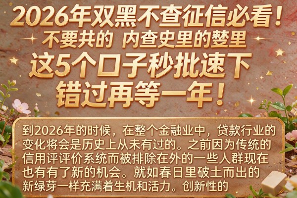 2026年双黑不查征信必看！这5个口子秒批速下，错过再等一年！