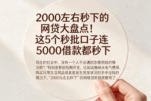 2000左右秒下的网贷大盘点!这5个秒批口子连5000借款都秒下