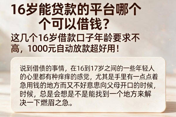 16岁能贷款的平台哪个可以借钱?这几个16岁借款口子年龄要求不高,1000元自动放款超好用!