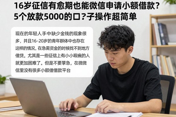 16岁征信有逾期也能在微信申请小额借款?5个放款5000的口子操作超简单!