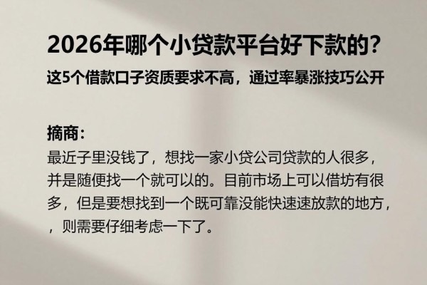 2026年哪个小额贷款平台好下款的？这5个借款口子资质要求不高，通过率暴涨技巧公开