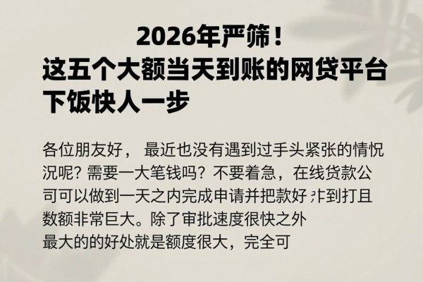 2026年严筛!这五个大额当天到账的网贷平台,下款快人一步