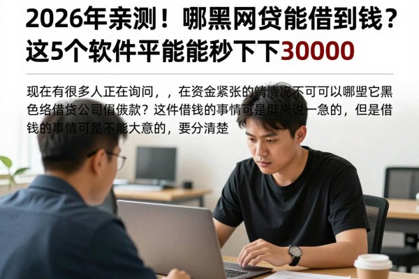 2026年亲测!哪些黑网贷能借到钱?这5个软件竟能秒下30000