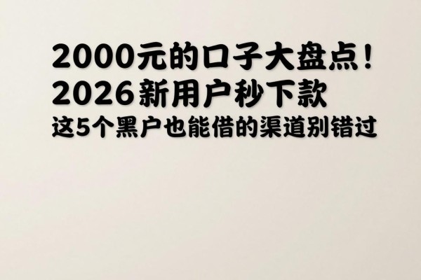 2000元的口子大盘点!2026新用户秒下款,这5个黑户也能借的渠道别错过