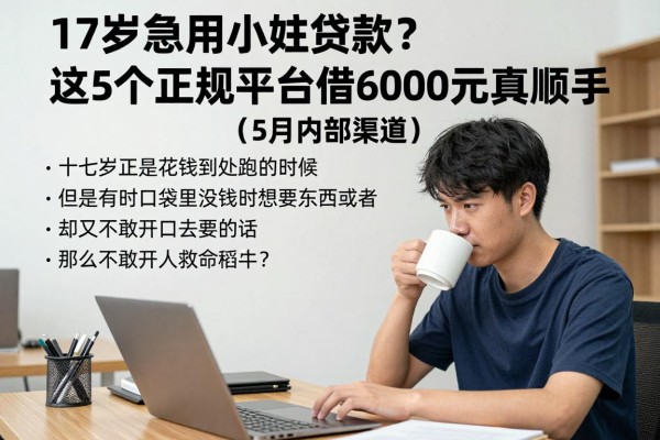 17岁急用小额贷款？这5个正规平台借6000元真顺手（5月内部渠道）