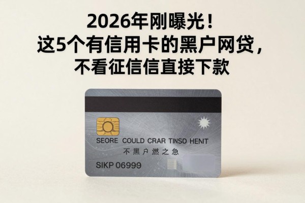 2026年刚曝光！这5个有信用卡的黑户网贷，不看征信直接下款