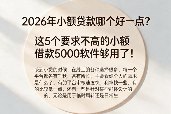 2026年小额贷款哪个好一点?这5个要求不高的小额借款5000软件够用了!