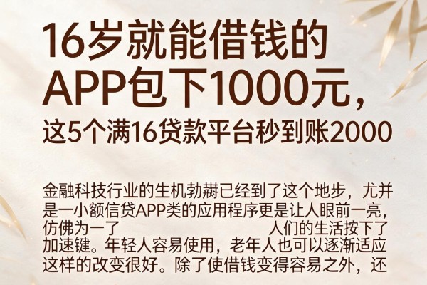 16岁就能借钱的APP包下1000元，这5个满16贷款平台秒到账2000