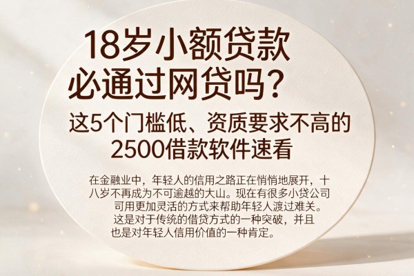 18岁小额贷款必通过网贷吗?这5个门槛低、资质要求不高的2500借款软件速看
