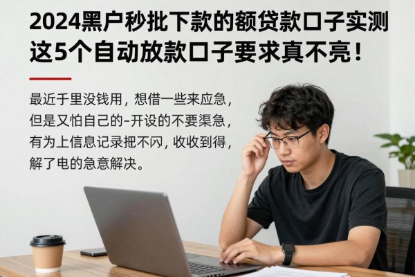 2024黑户秒批下款的小额贷款口子实测，这5个自动放款口子要求真不高！