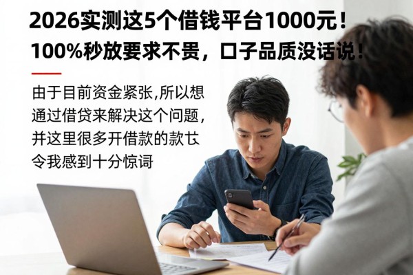 2026实测这5个借钱的平台100%能借到5000元!秒放款要求不高,口子品质没话说