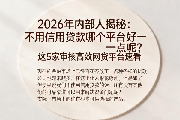 2026年内部人揭秘：不用信用贷款哪个平台好一点呢？这5家审核高效网贷平台速看