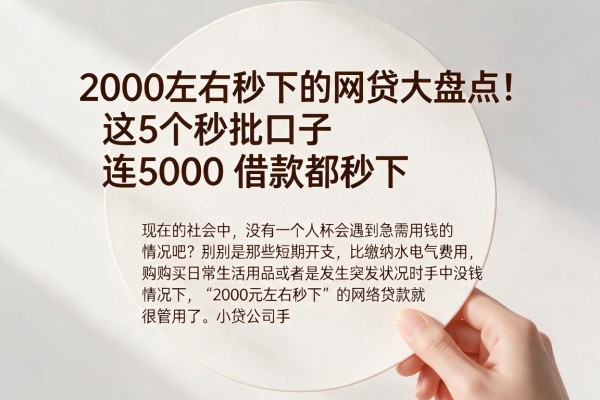 2000左右秒下的网贷大盘点!这5个秒批口子连5000借款都秒下