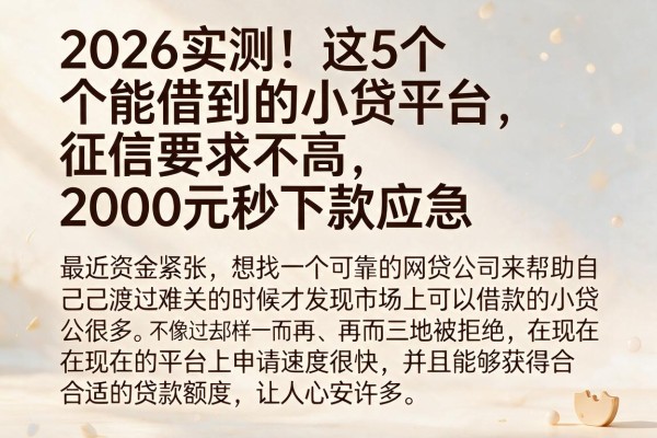 2026实测!这5个能借到的小贷平台,征信要求不高,2000元秒下款应急