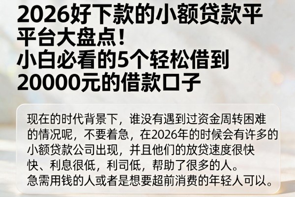2026好下款的小额贷款平台大盘点!小白必看的5个轻松借到20000元的借款口子