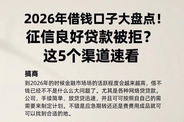 2026年借钱口子大盘点!征信良好贷款被拒?这5个渠道速看