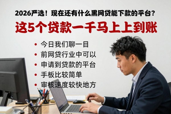 2026严选!现在还有什么黑网贷能下款的平台?这5个贷款一千马上就到账