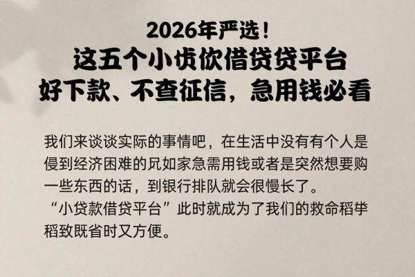 2026年严选!这五个小额贷款借贷平台好下款、不查征信,急用钱必看
