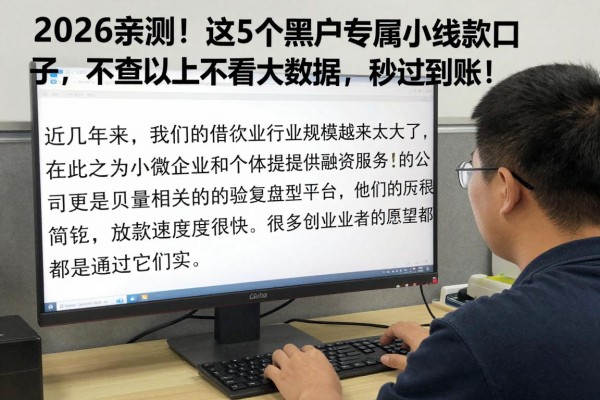 2026亲测！这5个黑户专属小额贷款口子，不查不上不看大数据，秒过到账！